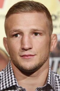 TJ Dillashaw in UFC: Best of 2014