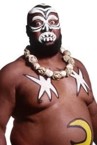 James Harris in Mid-South Wrestling Giants, Midgets, Heroes & Villains vol. 1