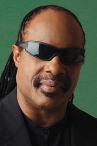 Stevie Wonder in Bob Dylan: The 30th Anniversary Concert Celebration