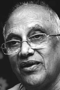 Singeetam Srinivasa Rao in Chinni Chinni Aasa