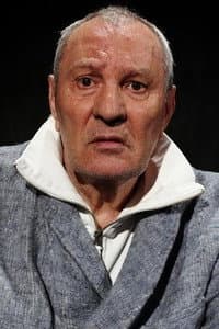 Constantin Drăgănescu in Ultimele zile ale verii