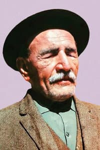 Âşık Veysel in Karanlık Dünya