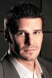 David Boreanaz in Officer Down