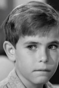 Charles Herbert in The Fly