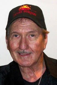 James Burton in Classic Albums: The Chirping Crickets