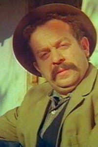 Ali Ozoguz in Sultan Gelin