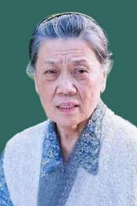 Jin Shuyuan in Da Hong Deng Long Gao Gao Gua