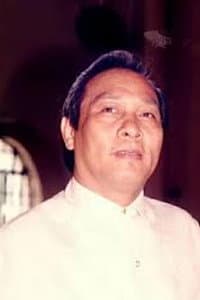 Ray Ventura in Calvento Files: The Movie