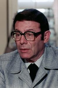 Irwin Allen in Inside 'the Swarm'