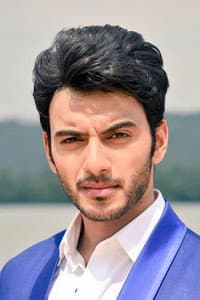 Vikram Singh Chauhan in The Perfect Girl