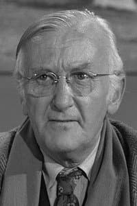 Joseph Hamilton in Jet Attack