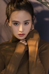 Zhai Lin in Fury Fist
