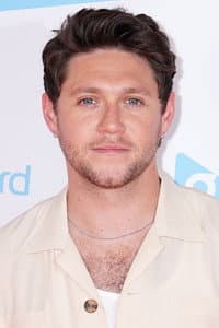 Niall Horan in TikTok: In the Mix