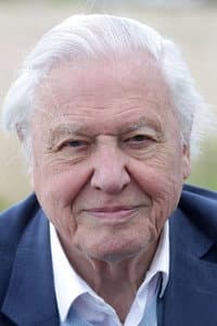 David Attenborough in Africa's Fishing Leopards