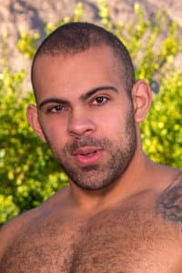 Lorenzo Flexx in Beef