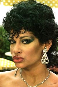 Vanessa del Rio in The Sensuous Caterer