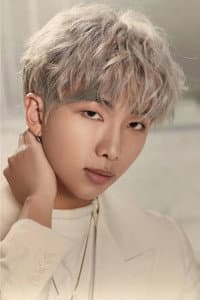 RM in Concert: BTS World Tour Love Yourself in Seoul