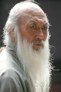 Yu Chenghui in 南北少林