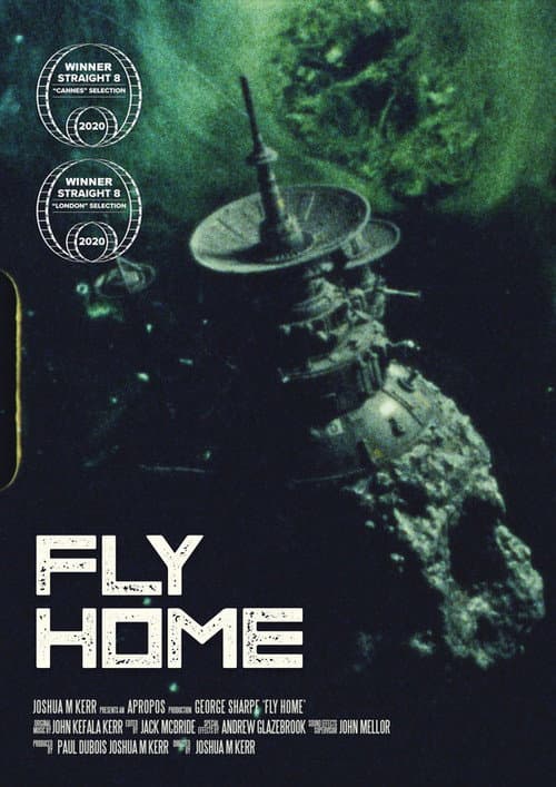 Fly Home (2021) poster