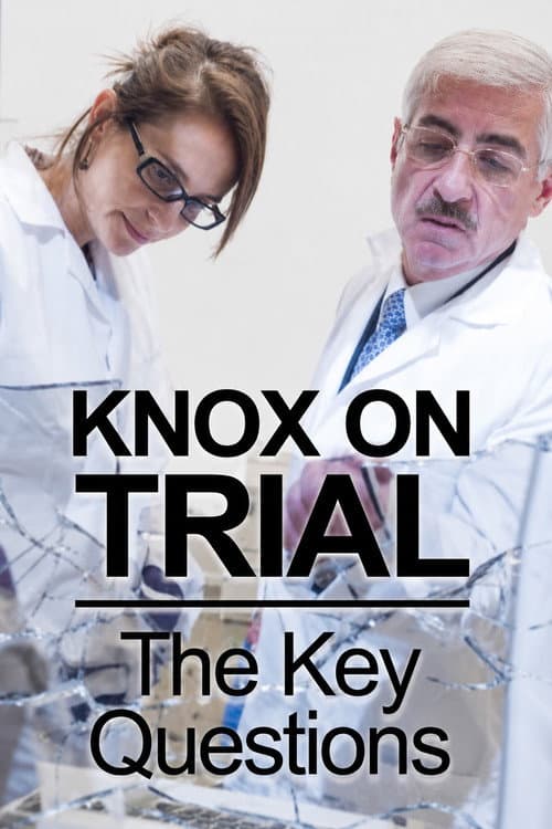 Amanda Knox Trial: 5 Key Questions (2013) poster