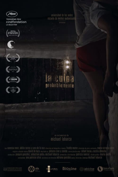 La Culpa, Probablemente (2016) poster