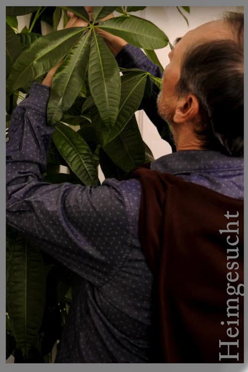 Heimgesucht (2020) poster