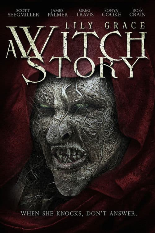 Lily Grace: A Witch Story (2015) poster