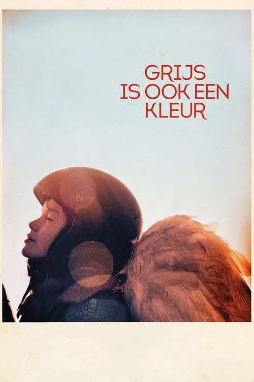 Grijs is ook een kleur (2016) poster