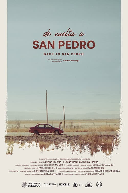 De vuelta a San Pedro (2021) poster