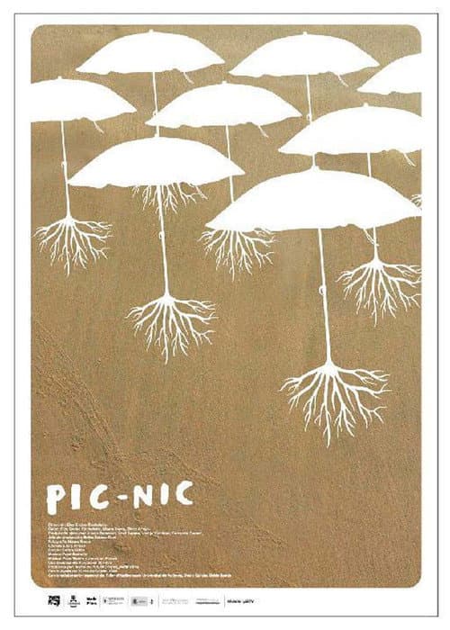 Pic-nic (2008) poster