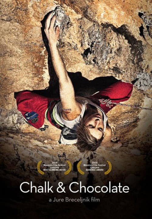 Magnezij in čokolada (2009) poster