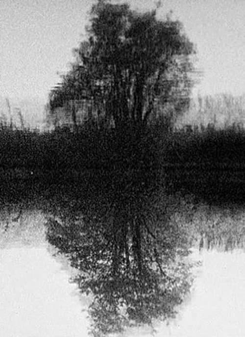 Tree Reflection (1998) poster
