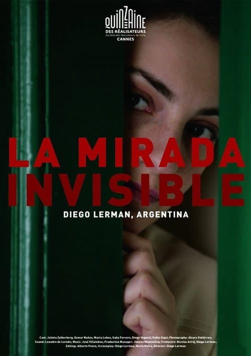 La mirada invisible (2010) poster