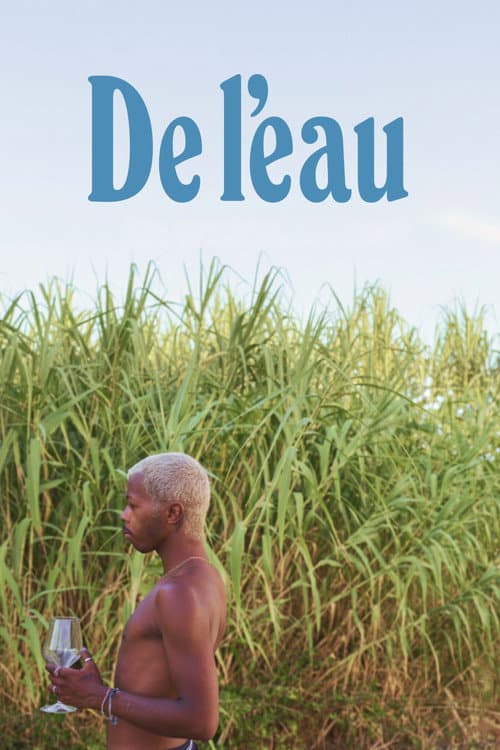 De l'eau (2026) poster