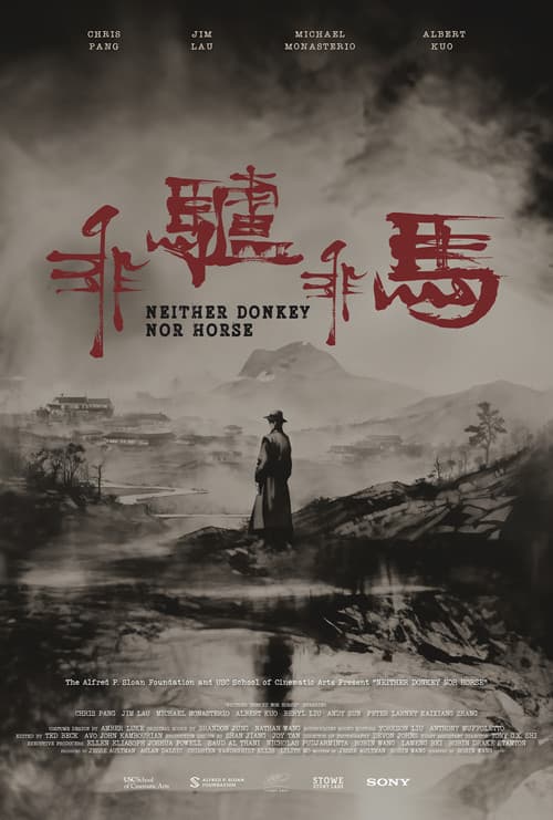 Neither Donkey Nor Horse (2024) poster