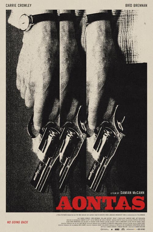 Aontas (2026) poster