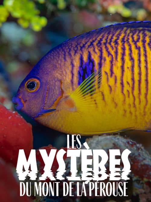 Les Mystères du mont La Pérouse (2021) poster