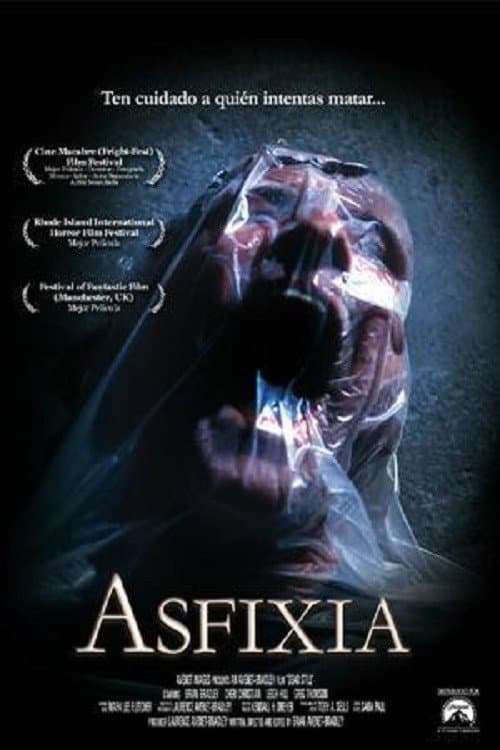 Ghost of the Needle (2003) poster