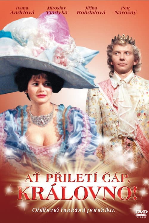 Ať přiletí čáp, královno! (1989) poster