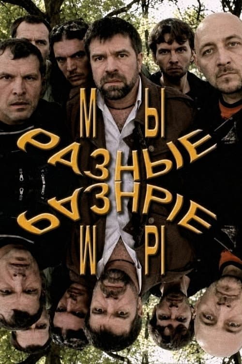 Мы разные (2011) poster
