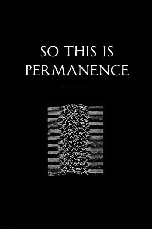 Peter Hook & The Light: So This Is Permanent (2020) poster