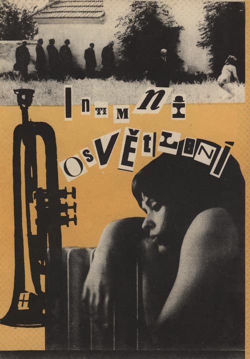 Intimní osvětlení (1965) poster