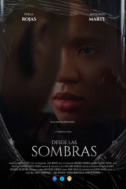 From the shadows (2024) poster