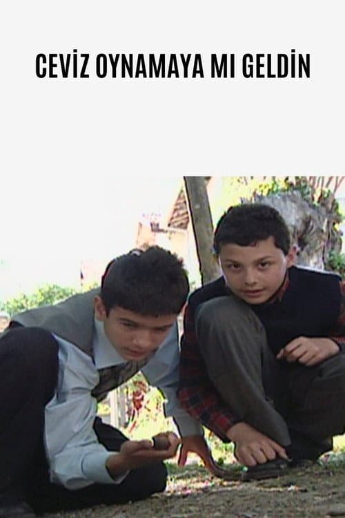 Ceviz Oynamaya Mı Geldin (2007) poster