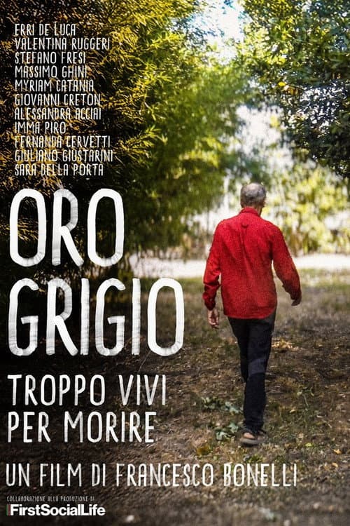 Oro grigio - Troppo vivi per morire (2025) poster