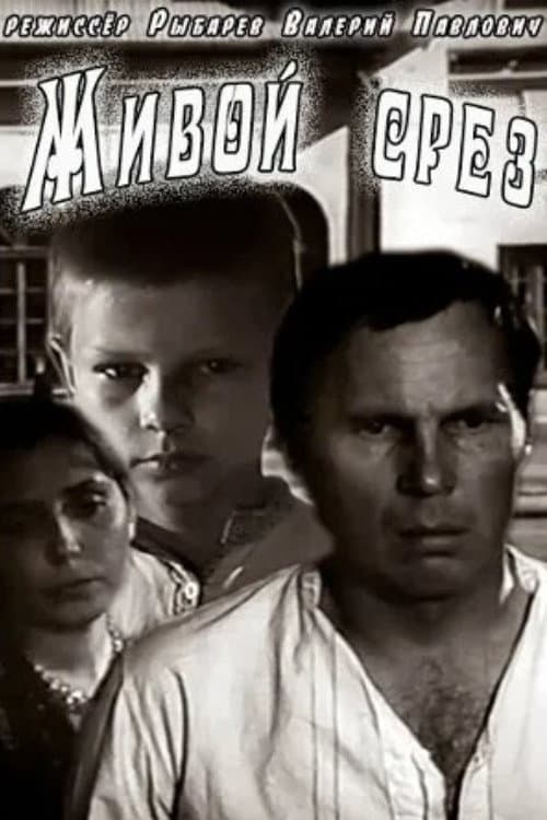 Живой срез (1978) poster