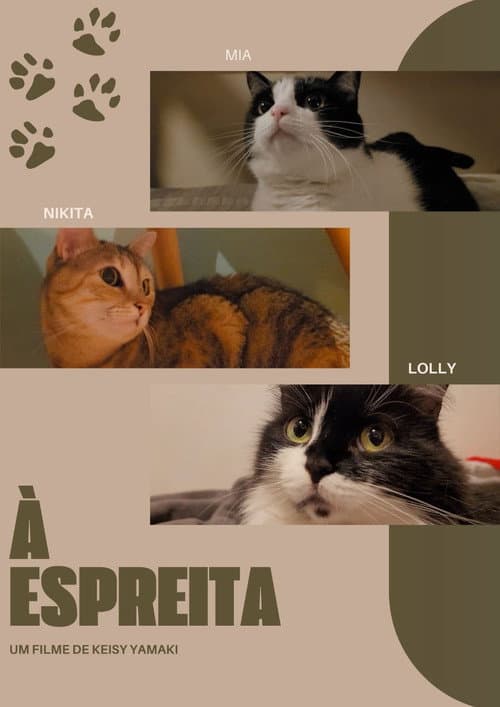 À Espreita (2025) poster