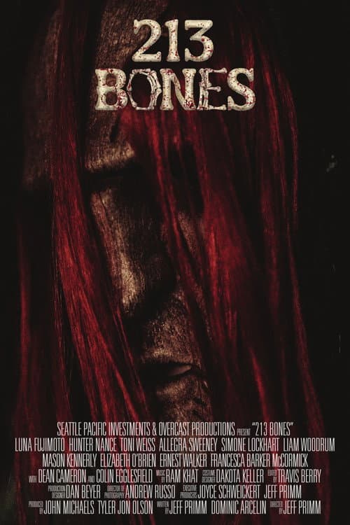 213 Bones (2025) poster