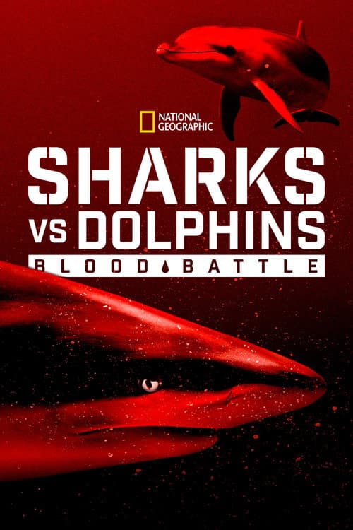 Sharks vs. Dolphins: Blood Battle (2020) poster
