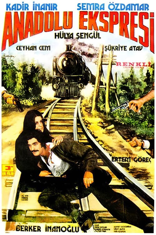 Anadolu Ekspresi (1973) poster